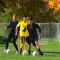 Sportkleding lente vesten en jasjes